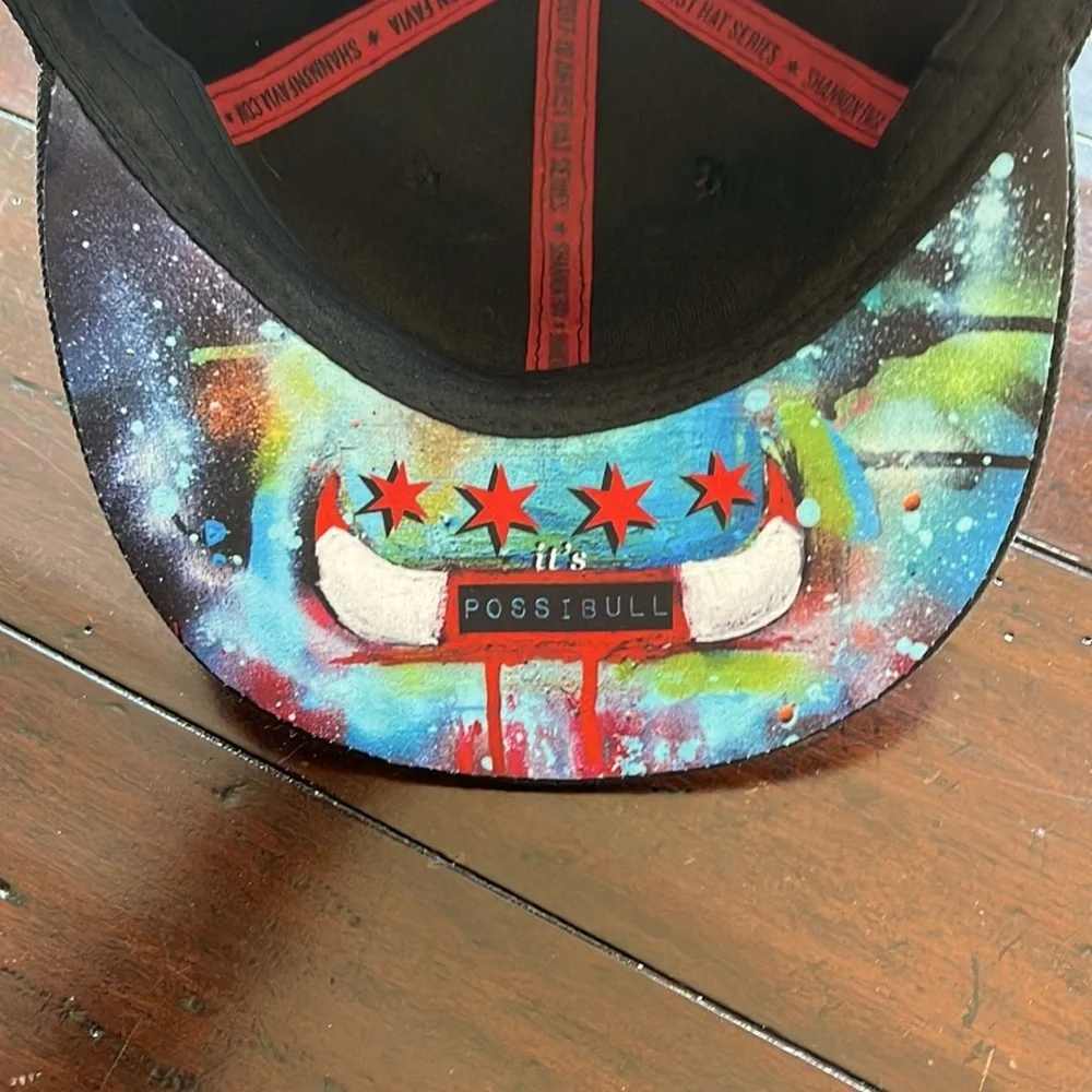 NWOT MELONWEAR Chicago Bulls SnapBack Hat - Picture 10 of 14